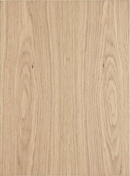 Dub európsky FLÁDER