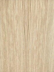 Dub európsky RADIÁL