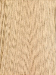 Dub európsky - C kvalita